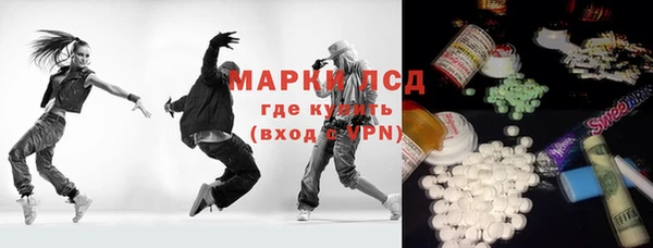 сатива Ростов