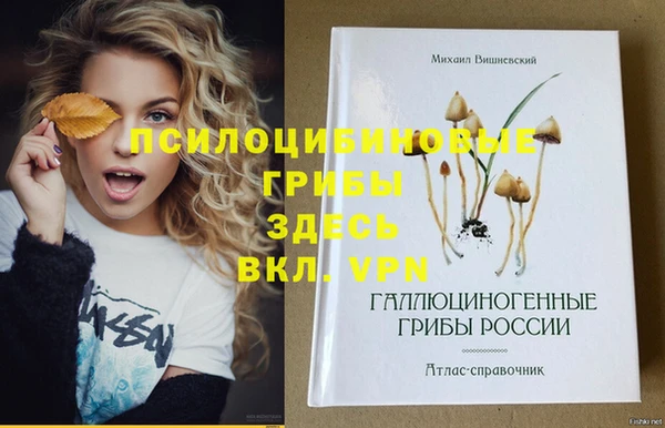 МДПВ Балахна