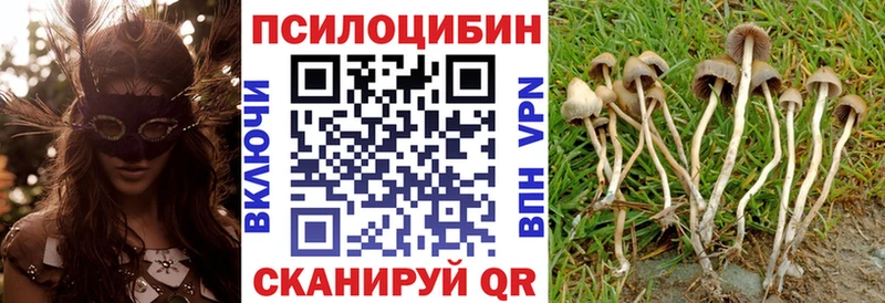 Галлюциногенные грибы прущие грибы  наркошоп  Невель 